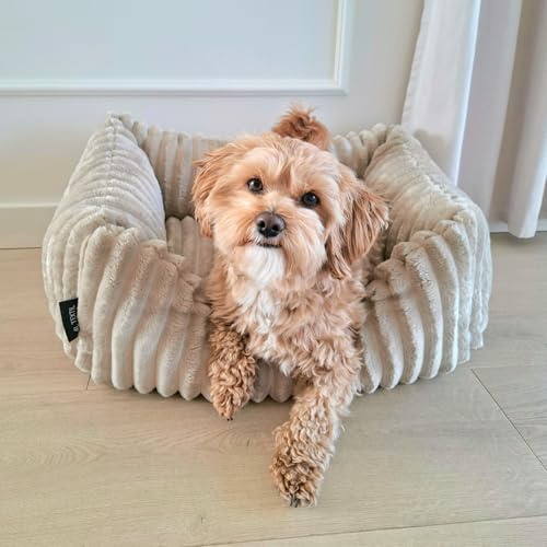 4L Textil Bella Plüsch-Hundebett Premium-LINE Kuscheliges Hundekörbchen aus Cord Katzenkorb Hundekorb für Welpen Hundebett flauschig Hundesofa kleine Hunde (Beige, 60x40 cm)
