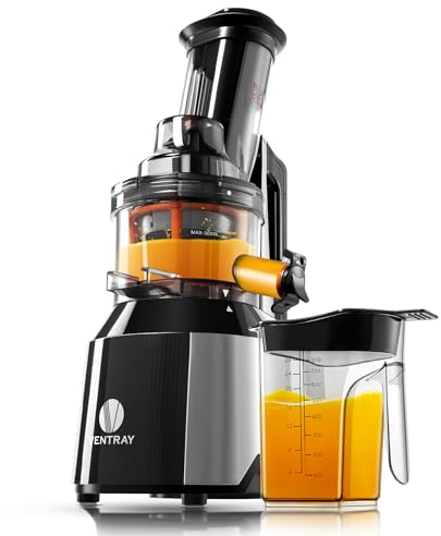 Ventray Licuadora Prensado en Frio Extractor de zumos para Frutas y Verduras con Motor Silencioso,fácil de limpiar con Cepillo - 809 Negro