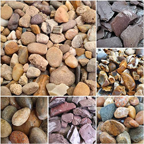 Elixir Gardens Aggregates Flowerbed Rockery Patio Path Driveway Ground Cover | Various types and qty (from 1kg to 800kg) available | Pea Gravel 10mm 10kg