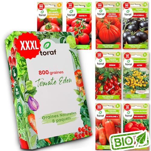 LW TORAF set di semi XXL 8 varietà di ortaggi di prima qualità, 800 semi da orto, piante da giardino, per balcone, cucina, diverse varietà di pomodori, kit per la coltivazione di ortaggi