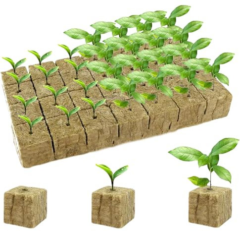 DELAIHUIL Cube de Laine de Roche 50 PCS Hydroponie Laine Rockwool Grow Cubes, Laine de Roche Culture, Cubes de Culture Soilless, pour Bouturage la Culture et la Transplantation de Semis