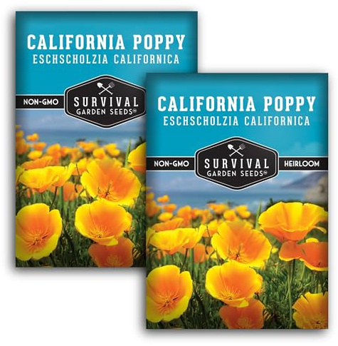 Survival Garden Seeds - California Poppy Seeds for Planting - 2 Packets with Instructions to Grow Eschscholzia Californica Plants in Your Home Flower Garden - Non-GMO Heirloom Wildflower Variety