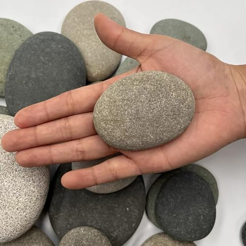 Sassi da Dipingere 12 Pezzi Pietre Piatte per la Pittura 5-8 cm Pietre Dipinte a Mano Ciottoli da Dipingere per Pittura Fai da Te, Decorative per Acquario e Giardino