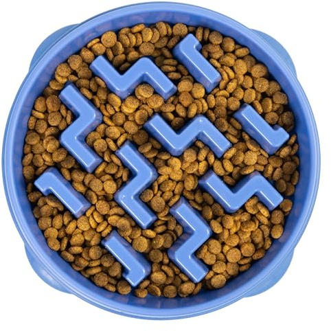 Outward Hound Slow Feeder Dog Bowl - Makes Meal Time Fun, Slows Down Eating, Promotes Healthy Digestion, Prevents Bloat | Slip Resistant and Durable, Food & Water Bowl, Size Large (Blue)