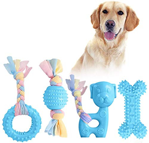 Hundespielzeug, Gummi Welpenspielzeug Mädchen, Zahnen Kauspielzeug für Kleine Hunde und Mittlere Welpen, Natürlich und Ungiftig Hundespielzeug, Jung Hundespielzeug Set mit quietscher Unzerstörbar