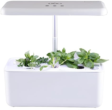 Hydroponic Garden System w/ 7 Compartments, Educational Compact Smart Garden for Educators and Boys Girls Learners, Perfect for Teaching and Learning Materials