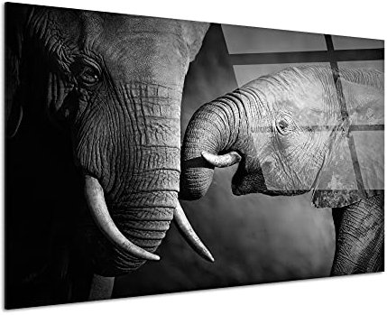 DECLINA Tableau verre acrylique déco photo L'éléphant et sa mére, Tableau moderne plexi, tableau mural, impression sur verre acrylique, cadre Plexis, 50x30 cm