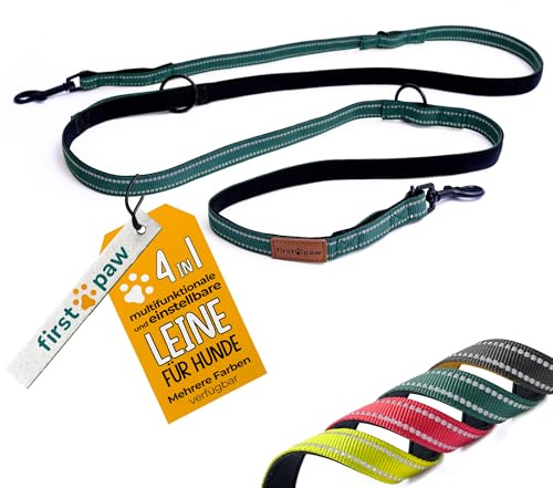 FIRSTPAW Laisse pour Chiens de Petite, Moyenne et Grande Taille - 2 Mètres de Long, Vert, Multifonctionnelle, Rembourrée et Confortable, Réglable Double Laisse pour Deux Chiens