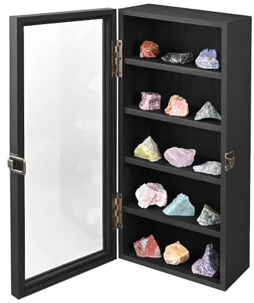 Ikee Design Sammlervitrine aus Holz, zur Wandmontage, 5 Ablagen, Zubehör mit gehärteter Glastür, Schwarz