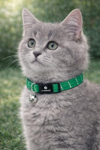 Collier Chat - Chaton Elza Vert 15–22 cm – Nylon élastique réfléchissant avec Clochette
