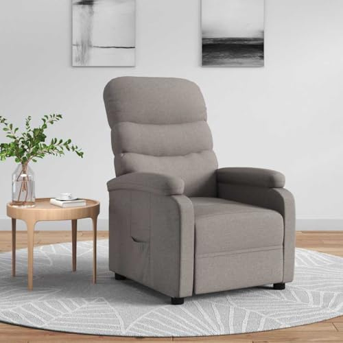 Owoxanthellate Fauteuil de relaxation avec position allongée manuelle, 3 positions, revêtement en tissu, 75 x 91 x 101 cm, cadre en bois et métal robuste, pour salon et home cinéma Taupe