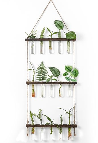 Winter Shore Reagenzgläser für Blumen - 3-Stöckiges Wand-Ableger Pflanzen Glas - Terrarium Glas & Holz mit Seil, 15 Mini-Reagenzgläsern, Reinigungsbürste - Hängevase Hydrokultur Pflanzen, Stecklinge