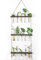 Winter Shore Reagenzgläser für Blumen - 3-Stöckiges Wand-Ableger Pflanzen Glas - Terrarium Glas & Holz mit Seil, 15 Mini-Reagenzgläsern, Reinigungsbürste - Hängevase Hydrokultur Pflanzen, Stecklinge