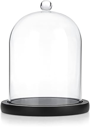 TOLIDA Cúpula de cristal con base de madera natural, mango robusto, decoración para velas de aromaterapia, cadena de luz como regalo para boda, día de San Valentín, Navidad, color negro, 12 x 15 cm