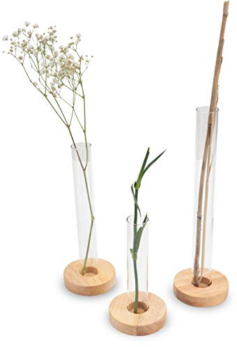 LUUK LIFESTYLE - Vas-set i i form av test glas, vasdekor, glasvas för en blomma, bordsvas, skandinavisk design, dekortativ vas, vas för långa stjälkar, minimalistisk, träunderlägg