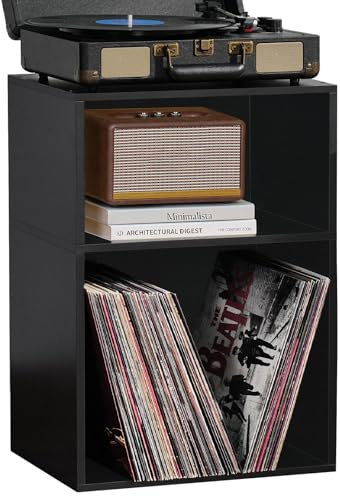 LELELINKY Plattenständer Mit Aufbewahrung, 2-Stöckiger Schallplattenständer für Bis Zu 80 Alben, Vintage Vinyl Regal Beistelltisch, Plattenregal für Musikzimmer und Wohnzimmer, Schallplattenregal