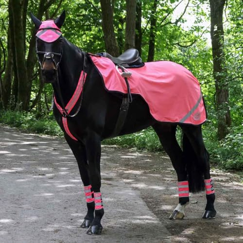 Hi Viz Mesh Exercise Sheet – Lightweight Breathable Reflective Horse Riding Sheet