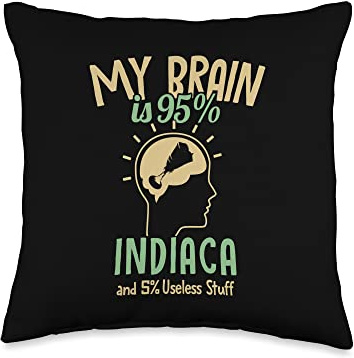My Brain is 95% Indiaca Professional Indiaca Peteca Throw Pillow