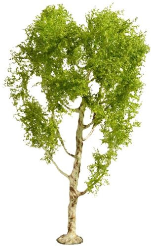 Noch® Arbre Miniature en Bouleau détaillé, 21 cm de Haut pour Les écartements de Voie H0, TT, N, Z, Parfait pour Les paysages modèles, la Construction de dioramas, Les Wargaming et Le Bricolage