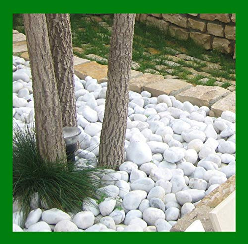 Seat Flor srl® CIOTTOLO Bianco Carrara, Pietra Bianca per Giardino, ciottoli bianchi per giardino e aiuole (20kg.) (misura 40/60 mm.)