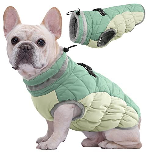 Kuoser Hundemantel Winter für kleine Hunde Wasserdicht & Winddicht, Warme Hundejacke mit Fleecefutter Reflektoren Reißverschluss, Pelzkragen & D-Ring – Outdoor Hundebekleidung, S