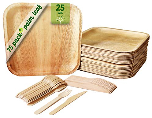 GoBeTree 25 Palmblatt Teller 25 cm quadratisch + 50 Holzbesteck | einweggeschirr, einwegteller & palmblatt geschirr | Ähnlich wie Bambus, ideal für Feiern, Grillfeste und Picknicks
