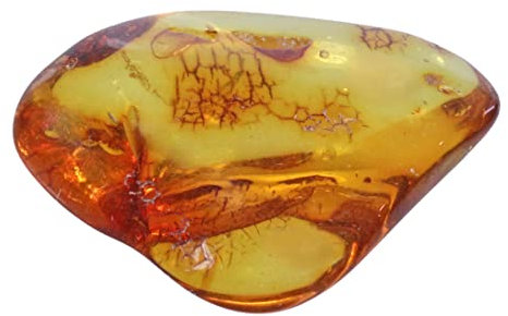 Lebensquelle Plus Beliebte Trommelsteine | Trommelstein poliert | Edelstein Handschmeichler Taschenstein (Bernstein, M)