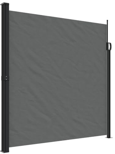 vidaXL Toldo Lateral retráctil Gris Antracita 200x600 cm