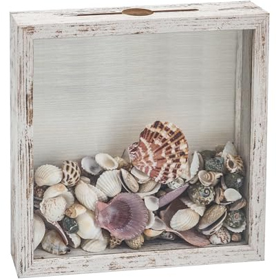 FramePro Caja de sombra pequeña de la colección Seashell de 8 x 8 pulgadas, marco de exhibición de carga superior con ranura, para películas, viajes, eventos deportivos, conciertos, boletos, bebidas,