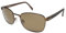 Rodenstock Men's R1416-B Sunglasses, b, 54