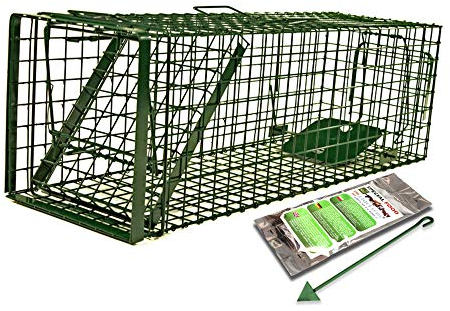 Holtaz Fallen Hardy Grün 105x34x42 cm 1 Tür Marderfalle Katzenfalle Fuchsfalle Biberfalle Tierfalle Kastenfalle Drahtfalle Waschbärfalle Mit Extra Köder