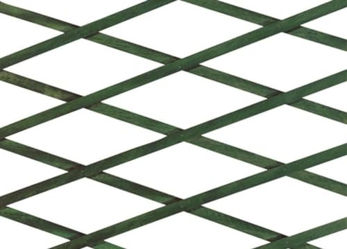 BIANCHERIAWEB Treillis extensible en bois pour plantes grimpantes clôture jardin balcon 150 x 200 cm vert