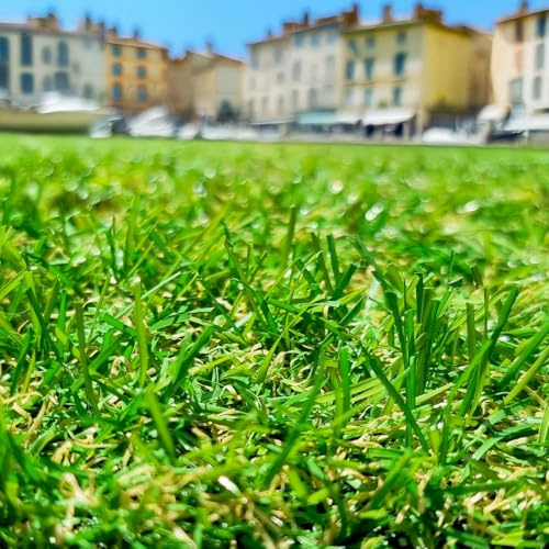 Gazon Synthétique 22mm : 2m de large x 10m de long soit 20M²