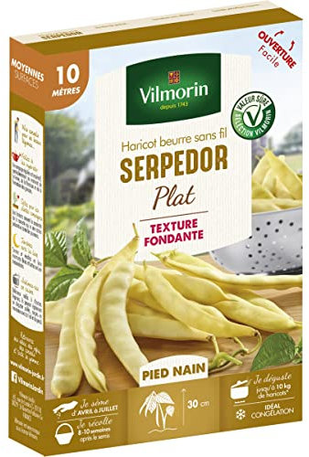 Haricot Nain Plat Beurre Serpedor - 10 m