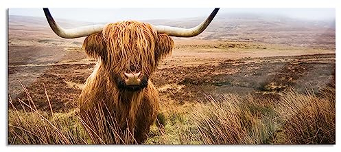 Pixxprint Glasbild Panorama, Wandbild aus Echtglas, Highland Rind mit großen Hörnern Steppe, 120x50 cm, inkl. Aufhängung und Abstandshalter