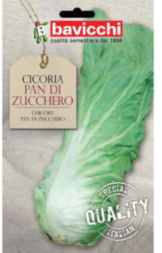 Bavicchi buste semi orto plus (Cicoria pan di zucchero)