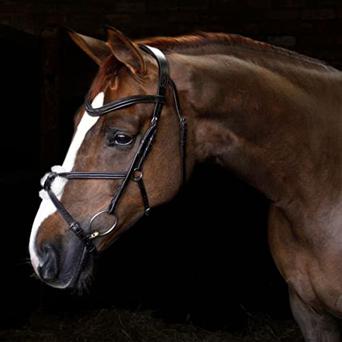 Harry Hall Cottage Craft Grackle Bridle Brown | Anatomical Horse Bridles | Grackle Noseband For Full | Leather Tack