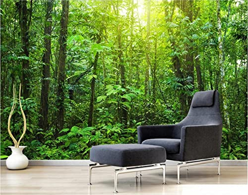 Fototapete 3D Tapete Grüner Urwald Tapeten Vliestapete Wandbilder XXL Wanddeko Wandtapete -321372 430x300cm