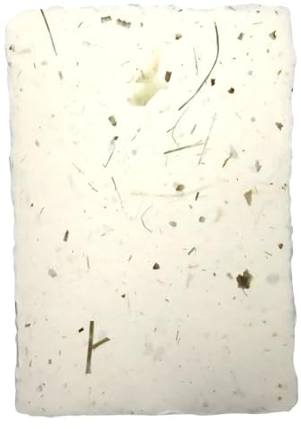 Netuno 5 ark kontorspapper lök med gräs DIN A4 ca 205 x 290 mm handgjort blompapper vintage brevpapper med kontorskant för inbjudningskort papper papper effektpapper