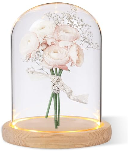 Cúpula de cristal con base de madera natural, vitrina decorativa de cristal transparente con bandeja, campana de cristal decorativa, 12 x 16 cm, campana de cristal, pantallas de mesa para lámpara