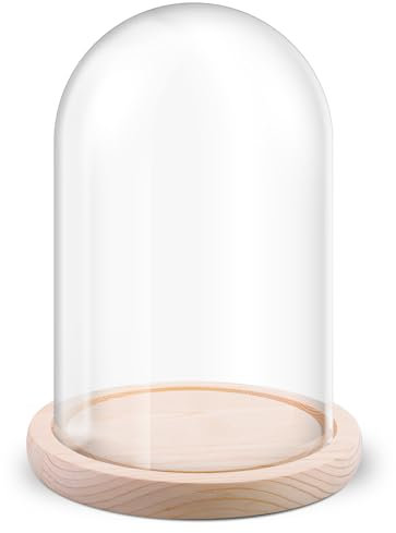 Cloche en verre avec fond en bois, cloche en verre décorative avec socle en bois naturel, 12 x 18 cm, dôme en verre transparent, présentoir en verre transparent, cadeau décoratif transparent, cadeau