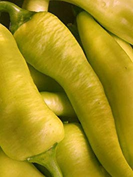 Germinazione Semi Peperoni Gialli Ungheresi Bellissimi Grandi e Gustosi