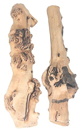 emours Reptile Décor Natural Forest Branch Terrarium Wood Aquarium Ornament (1.6-2.4inch（Pack of 2）)