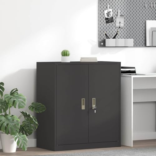 INLIFE Armoire de Rangement Noir 80 x 40 x 90 cm Acier Laminé à Froid