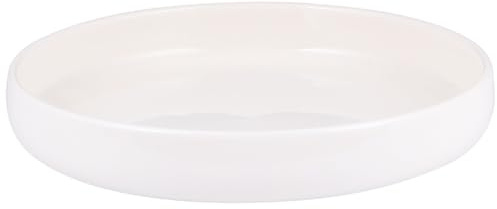 BAZEITFLOW Ciotola in Ceramica per Rettili 21 Cm, Contenitore Alimentazione Antipribaltamento, Adatta per Tartarughe e Piccoli Animali Domestici, Facile da Pulire e Resistente alla Corrosione