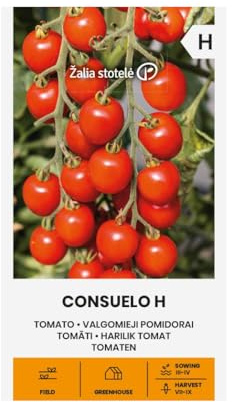 Zalia stotele | Pomodori - semi di Consuelo H | Semi di ortaggi | Semi di piante | Semi di pomodoro | Un pomodoro ciliegino precoce, a crescita alta e resistente alla peronospora | 1 confezione