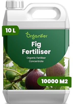 Fertilizante Líquido Orgánico 10L Para Higuera – Hojas Lujosas Y Crecimiento Óptimo – Organifer