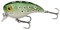 Berkley Pulse Biggie Crankbait Köder | Schwimmender, flach tauchender Crankbait für Hechte, Barsche, Zander und Bass | Hartköder für das Angeln auf Raubfische im Süßwasser | 6 cm, Frosch