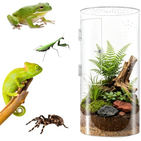 Akrylterrarium 30 x 15 x 15 cm, rektangulär vivarium 360° sikt, faunarium med tvärventilation, vattentätt miniterrarium för hoppspindel, gudsdyrare, gecko, lövgroda, skalbagge