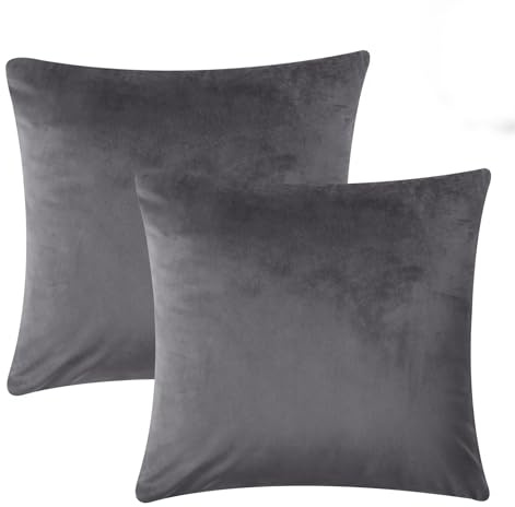Imperial Rooms Cushion Covers 45 x 45 cm Pack of 2 Square Throw Velvet Pillow Cases Bedroom Decor Cushion for Sofa Living Room Car (Charcoal, 18 x 18 Inch)